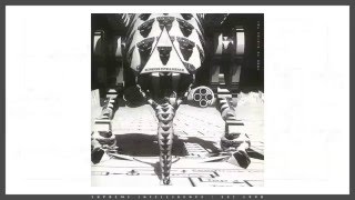 D'sporphin - Shadowchild