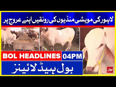 Latest Updates of Lahore cattle markets