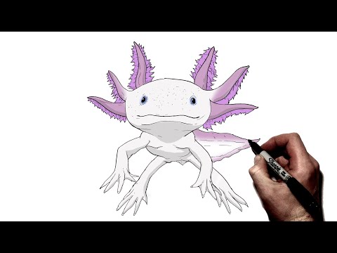 How To Draw