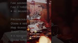 Расплескалась океаном. Стихи. Светлана Мишина#стихи#поэзия#poetry#тонкиймир#душа#осень#красотажизни