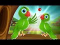 Chitti chilakamma  parrots animation telugu rhymes for children  simple rhymes tv