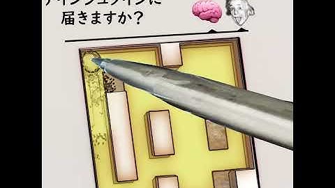 BrainZZZ-Only people with an IQ of 130 or above can play 10 levels.-Japanese-J34