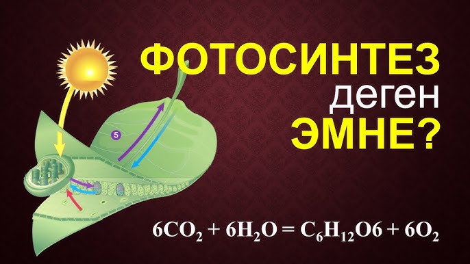 Есегінде мүшесі бар жалаңаш қыздар Барлық тесіктердегі аққұбаларды бляды эротикалық оқиға