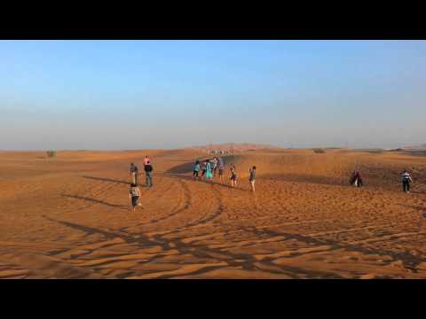 Arrival at Dubai Desert Conservation Reserve