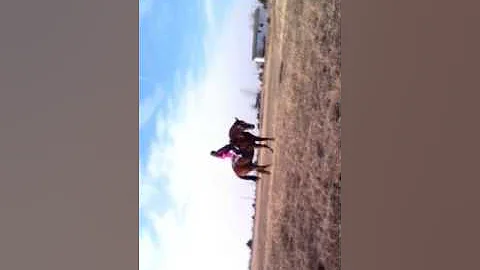 Tayter Mae and thunder