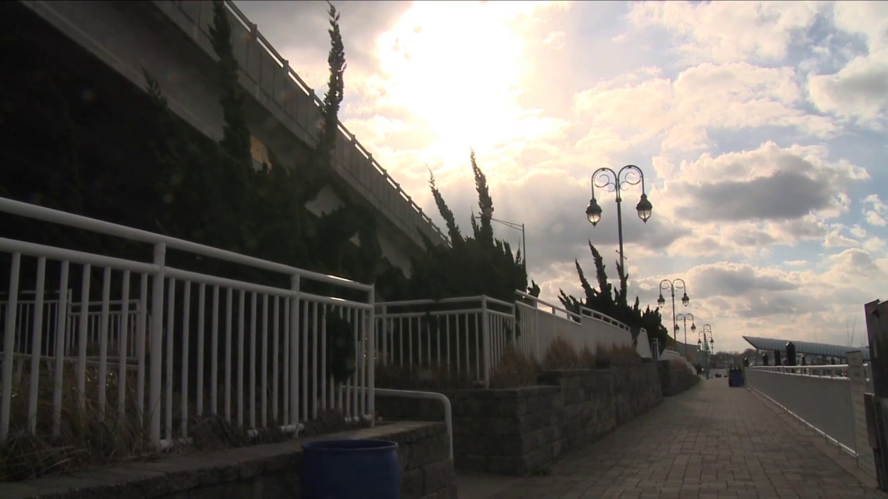 Sarah Stern Search Effort