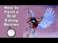 Bird Painting - How to Paint a Bird Eating Berries in Watercolor Time Lapse