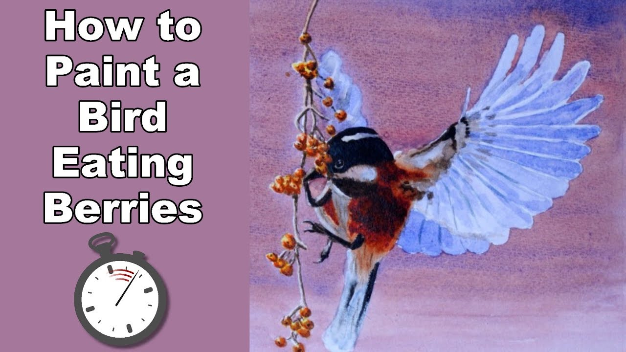 Bird Painting How to Paint a Bird Eating Berries in Watercolor Time Lapse YouTube