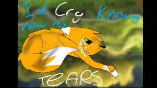 Squirrelflight- surprise ( OLD OLD OLDDDD )
