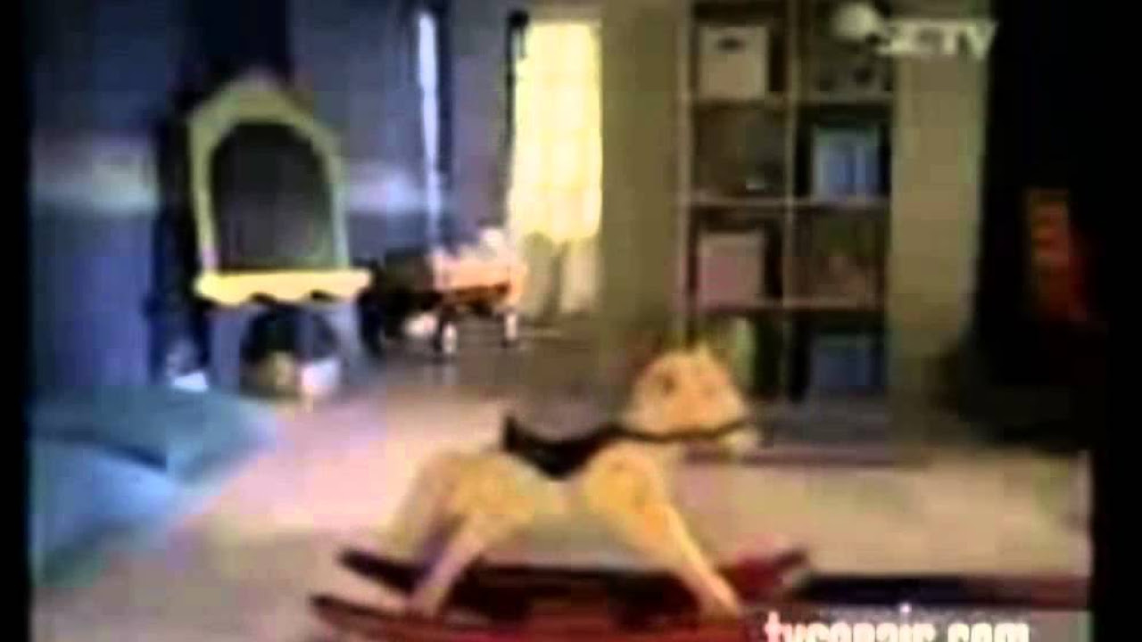 Termorex Commercial Ver. Playing Horse (2004-2007)