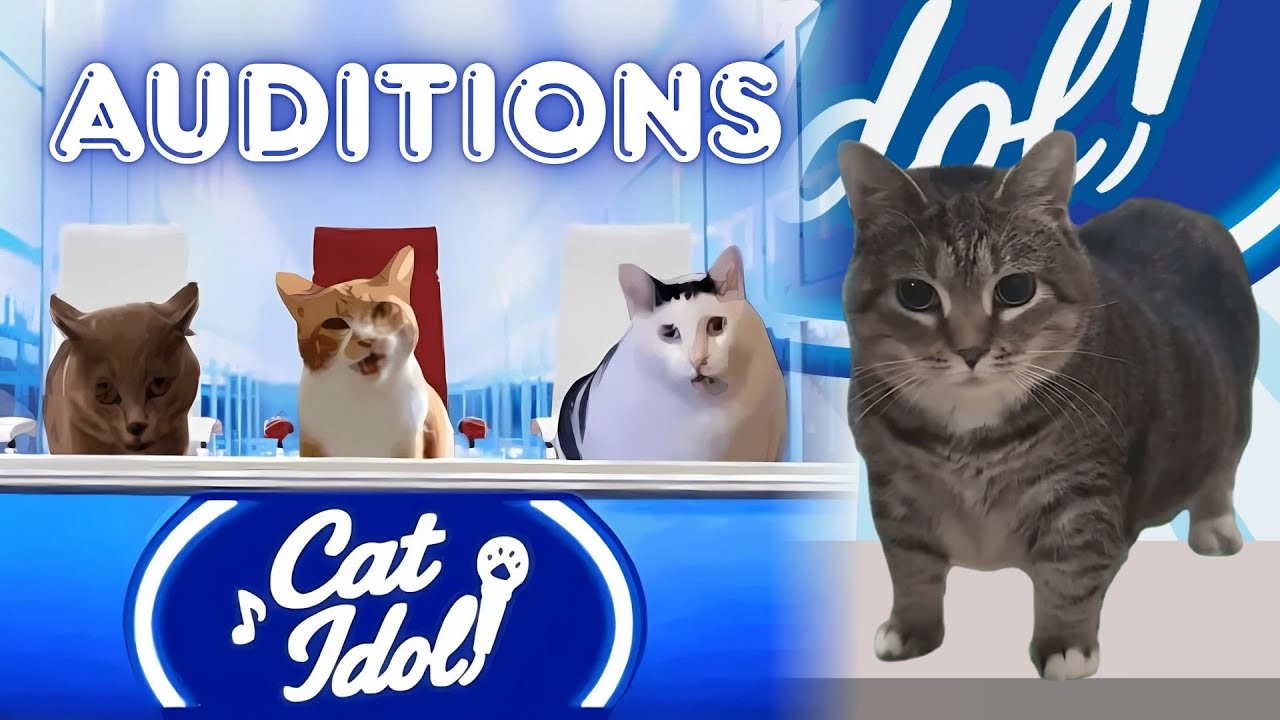 OIIAOIIA Cat | Spinning Performance on Cat Idol Audition! 🐾 (Judges Were Speechless)
