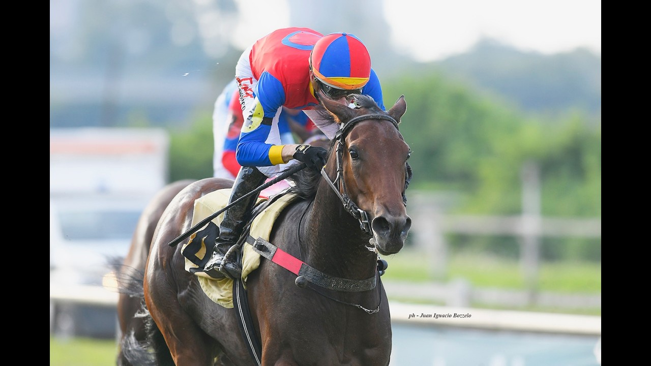 Clásico Asociación de Propietarios de Caballos de Carrera (G3) 2026 - Ali Shakti (Lucullan)