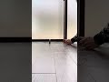 自力で転がるビニールテープ