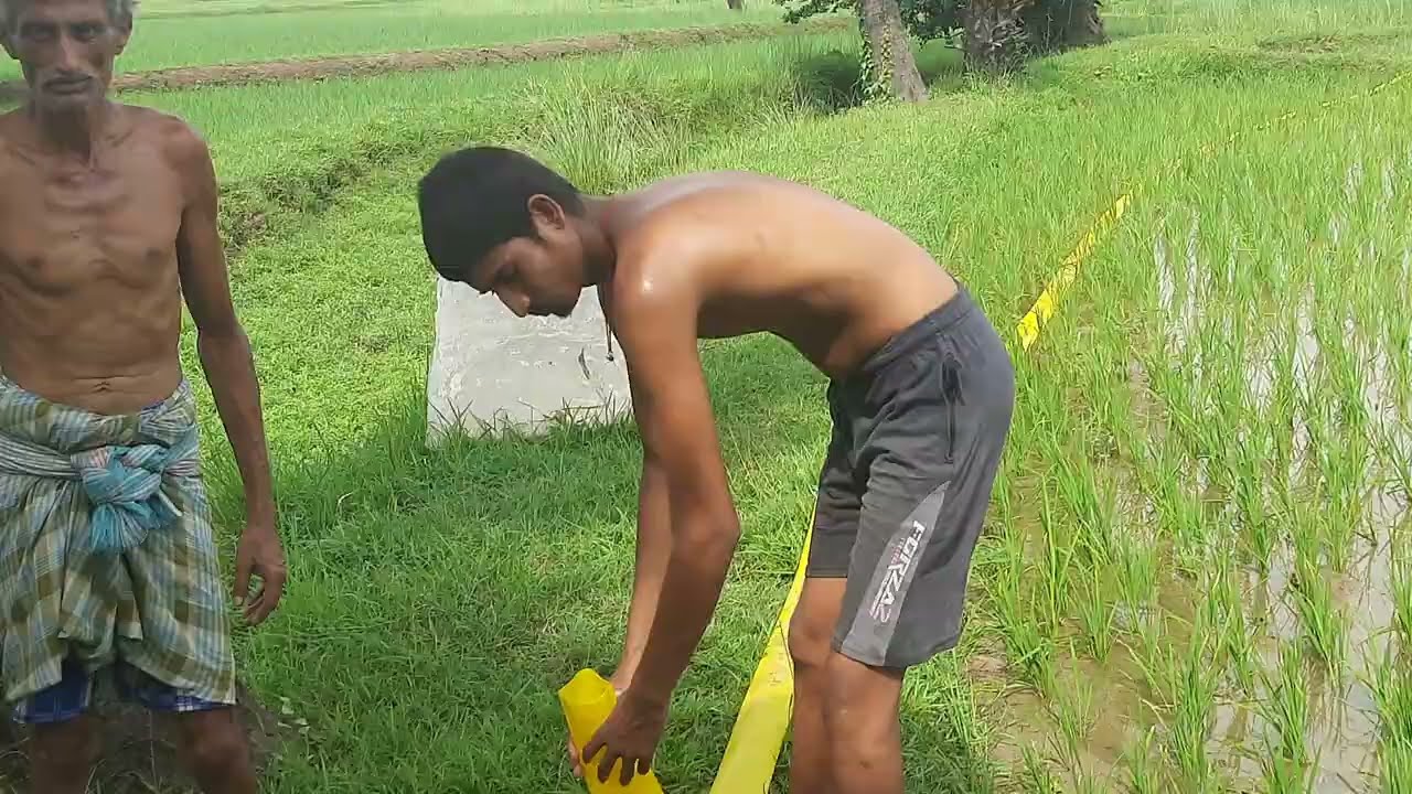 CD ORIGINAL..  Z175F CD ORIGINAL CHINA DIESEL ENGINE 