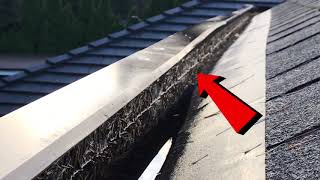 Gutter and Downspout Fail