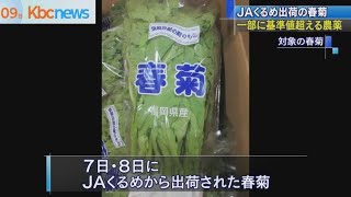 ＪＡくるめ出荷　一部の春菊から基準値超える農薬検出