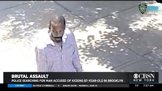 NYPD Searching For Suspect In BK Elderly Assault