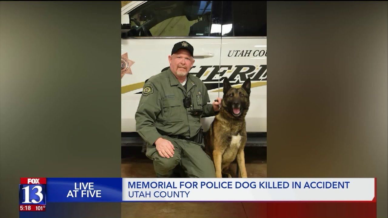 provo utah 'He Was My Best Friend': Utah County K9 Honored at Memorial Service