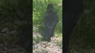 Me &amp; Oly on our lunch pause