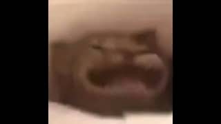 When You Hear Plin Plin Plon