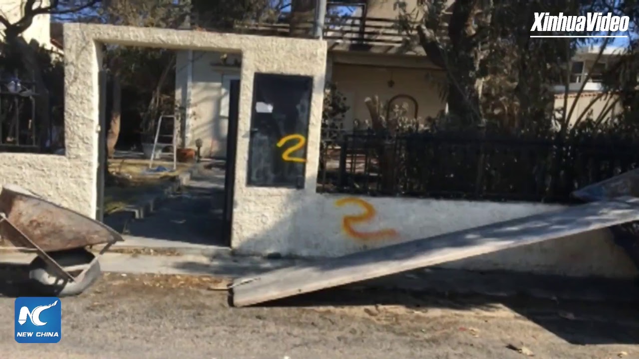 LIVE: Rescue efforts intensify as Greece wildfires death toll rises