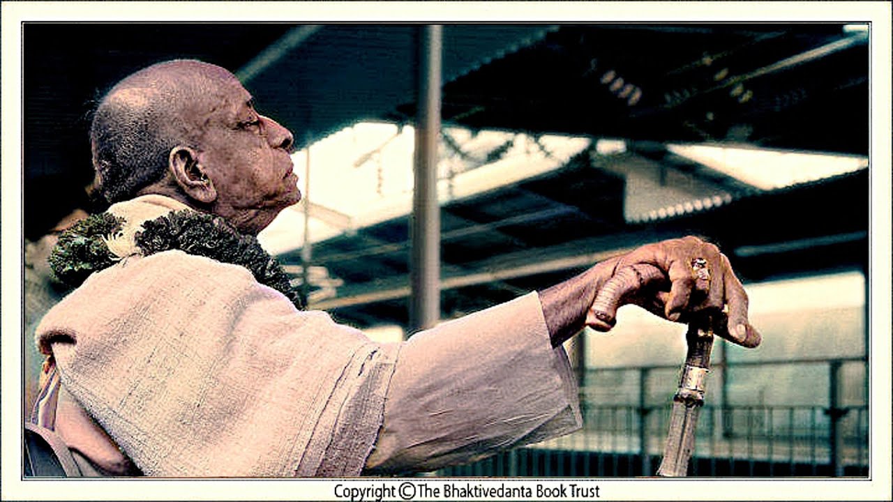 Персональное требование к попечителям и сотрудникам ББТ