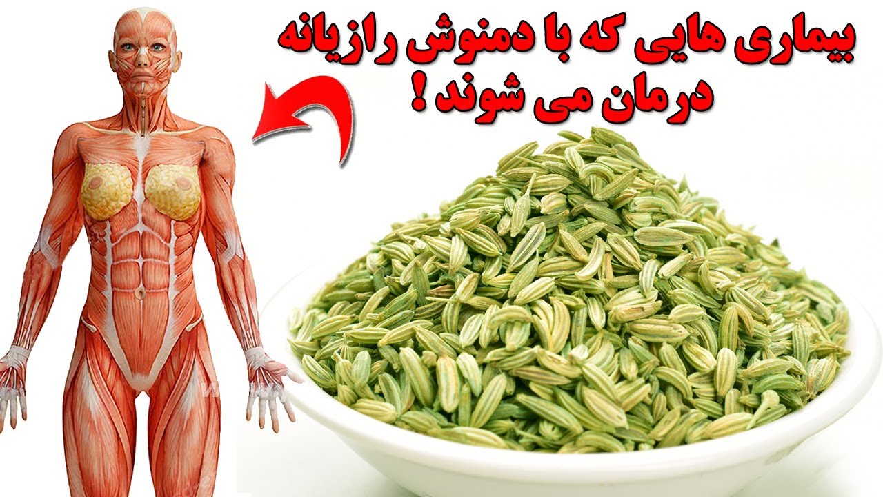 اگر هر روز دمنوش رازیانه بخوریم چه اتفاقاتی در بدن ما می افتد !