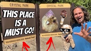 This is One of my Top 10 Crystal Digging Destinations! by The Crystal Collector 45,792 views 3 months ago 18 minutes