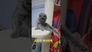 상당히 섹쉬한 애더린 ㅋ