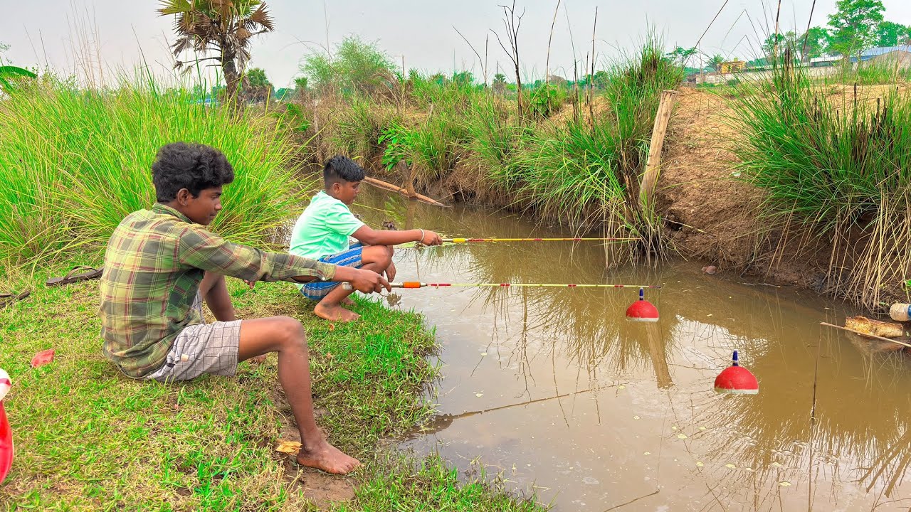 Fishing Video || The boys always catches a lot of fish from the village ...