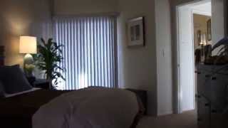 Centre Pointe 2 bed/ 2 bath Apartment (Floor Plan: C3)