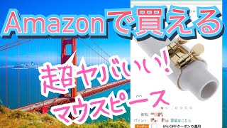 超ヤバいい！激安マウスピース【西海岸風の音が出せます】