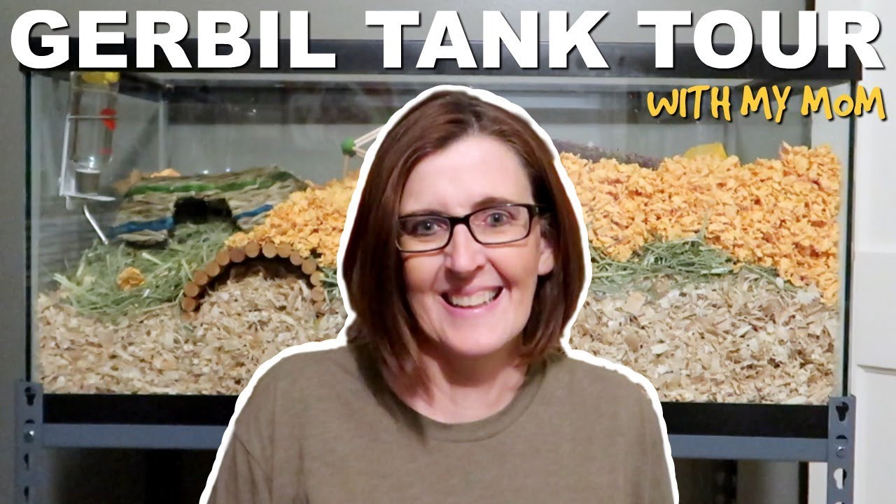 petco hours GERBIL TANK TOUR HOSTED BY MY MOM