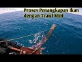 TERNYATA !!! Begini proses penangkapan ikan dengan trawl mini