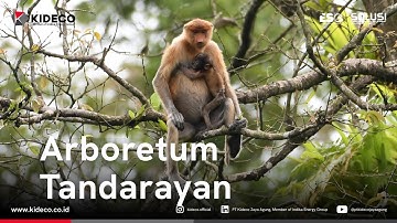 Arboretum Tandarayan (Reclamation Area)