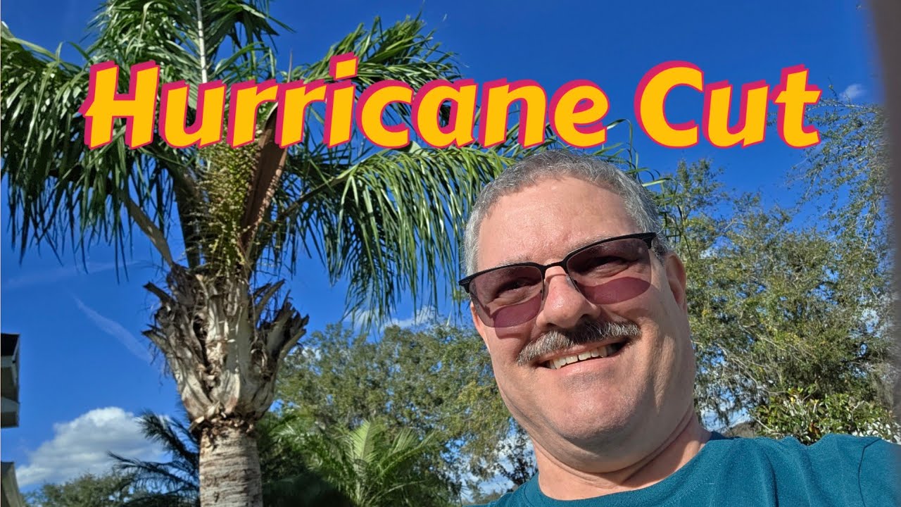 Cut Your Palm Trees BEFORE The Hurricane