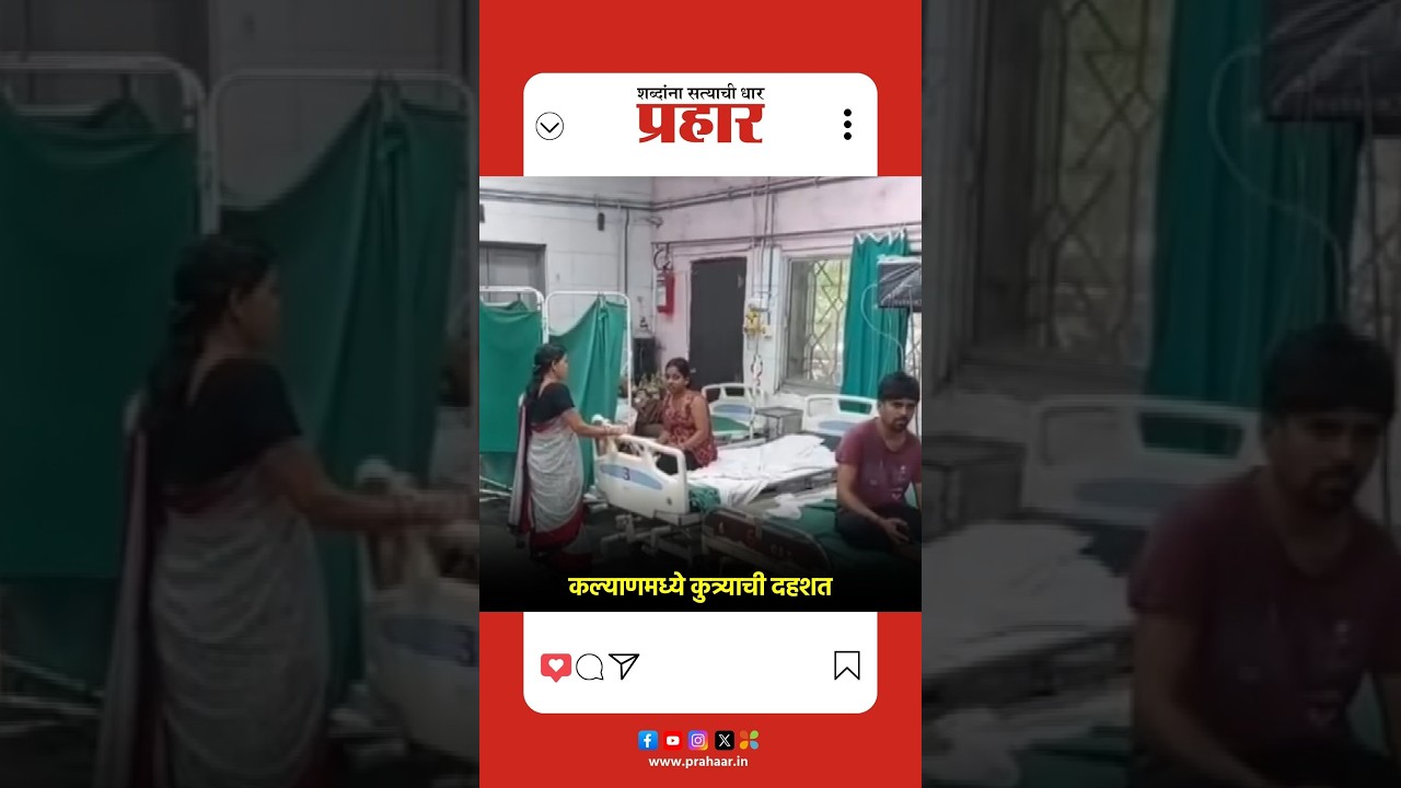 Dog Bites | कल्याणमध्ये २४ तासांत १५० पेक्षा जास्त नागरिकांना चावला कुत्रा