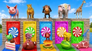 Long Slide Game With Pig Leopard Monkey Elephant Giraffe Best Race 3D Animal Game screenshot 3