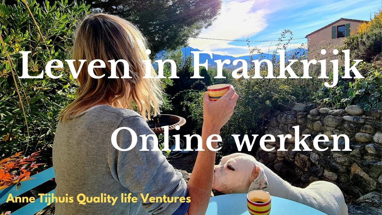 Leven in Frankrijk - inkomen in Frankrijk - online bedrijf