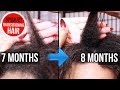 7 &amp; 8 Month Transitioning Natural Hair Length UPDATE!