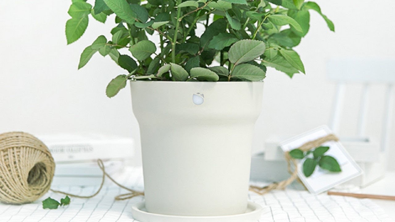 Смартгоршок для комнатных растений Xiaomi Smart Flower Pot SHOFIND