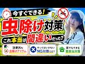 【9割が知らない】本当に効く虫除けとは?