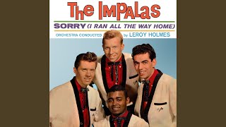 Video thumbnail of "The Impalas - Sorry (I Ran All the Way Home)"