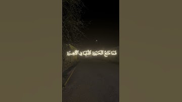 ما تيسر من سورة التوبة للقارئ محمد صديق المنشاوي #المنشاوي #قرآن #نهاوند #سورة_التوبة #قران_كريم