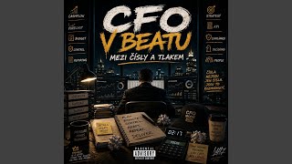 Internal controls | CFO v beatu - Mezi čísly a tlakem