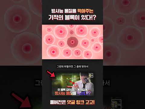 <strong>방사능</strong> 물질을 막는 기적의 블록이 궁금하다면? #사용후핵연료 #<strong>방사능</strong> #처분 #과학쿠키