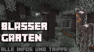 Pale Garden | All information & tips | Minecraft 1.21.5 Tutorial German screenshot 2