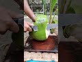 Natural and satisfying#asmr #coconut #relaxing #satisfying