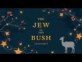 THE JEW IN THE BUSH by Anonymous