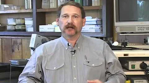 Sand Colic in Horses